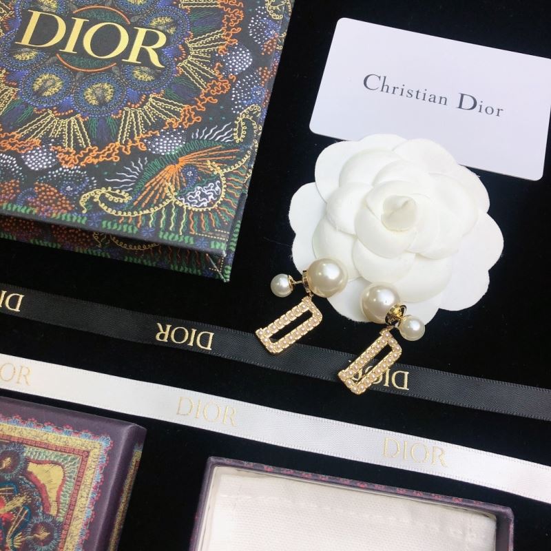 Christian Dior Earrings